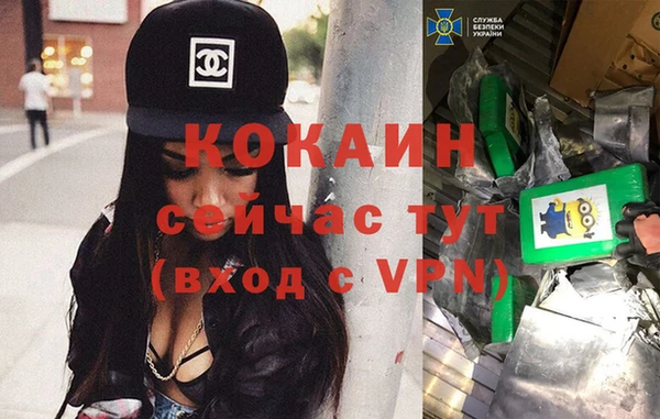 ГАЛЛЮЦИНОГЕННЫЕ ГРИБЫ Белокуриха