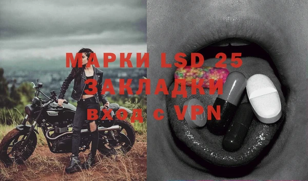 ГАЛЛЮЦИНОГЕННЫЕ ГРИБЫ Белокуриха