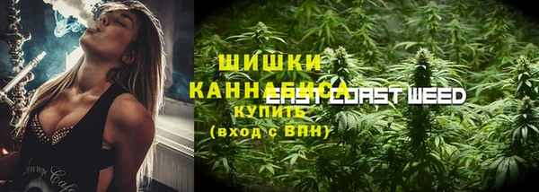 ГАЛЛЮЦИНОГЕННЫЕ ГРИБЫ Белокуриха