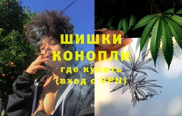 ГАЛЛЮЦИНОГЕННЫЕ ГРИБЫ Белокуриха